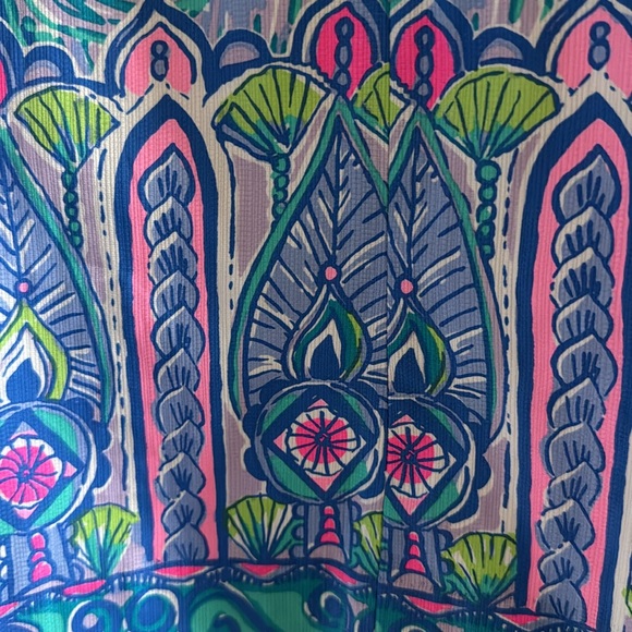 NWT Lily Pulitzer dress size 8. - Picture 3 of 9